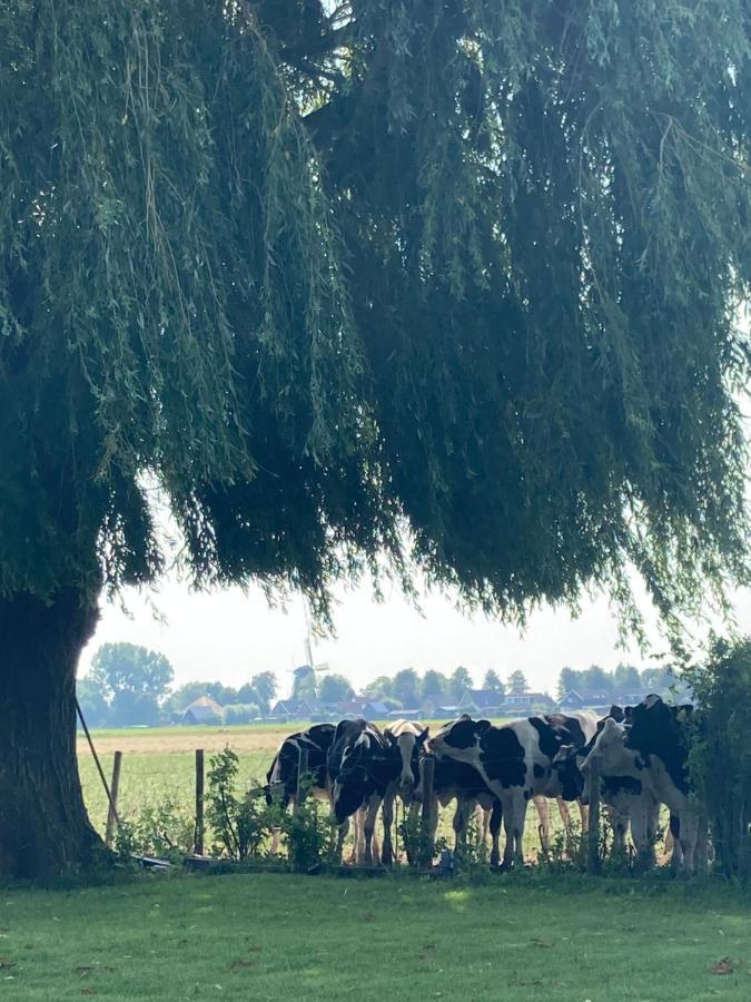 Vakantiehuis Het Uilennest Wijdenes エクステリア 写真