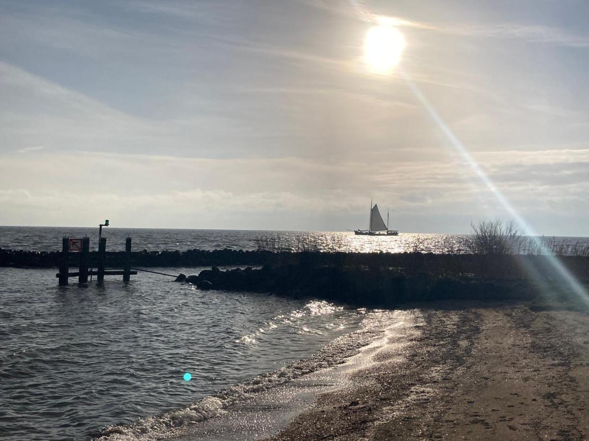 Vakantiehuis Het Uilennest Wijdenes エクステリア 写真