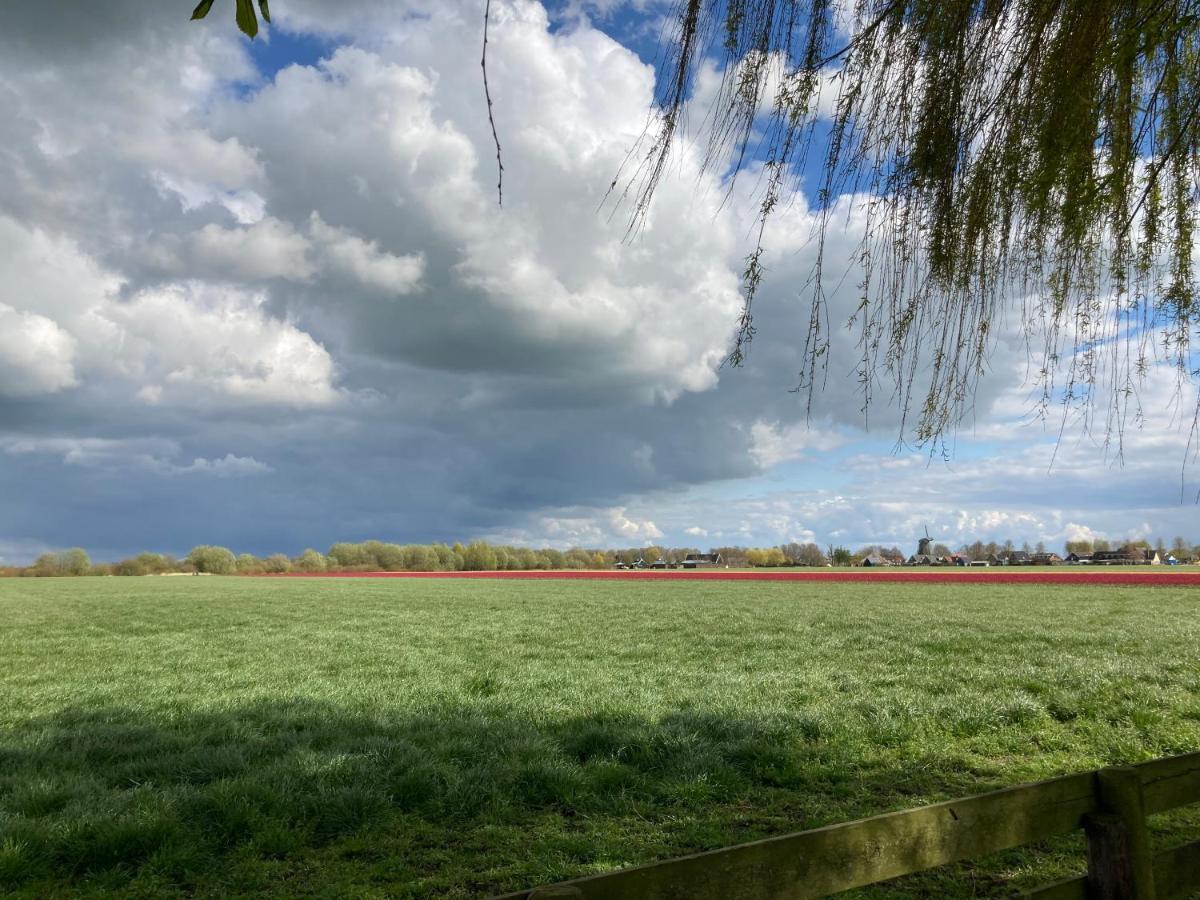 Vakantiehuis Het Uilennest Wijdenes エクステリア 写真