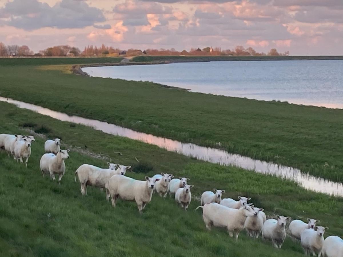 Vakantiehuis Het Uilennest Wijdenes エクステリア 写真