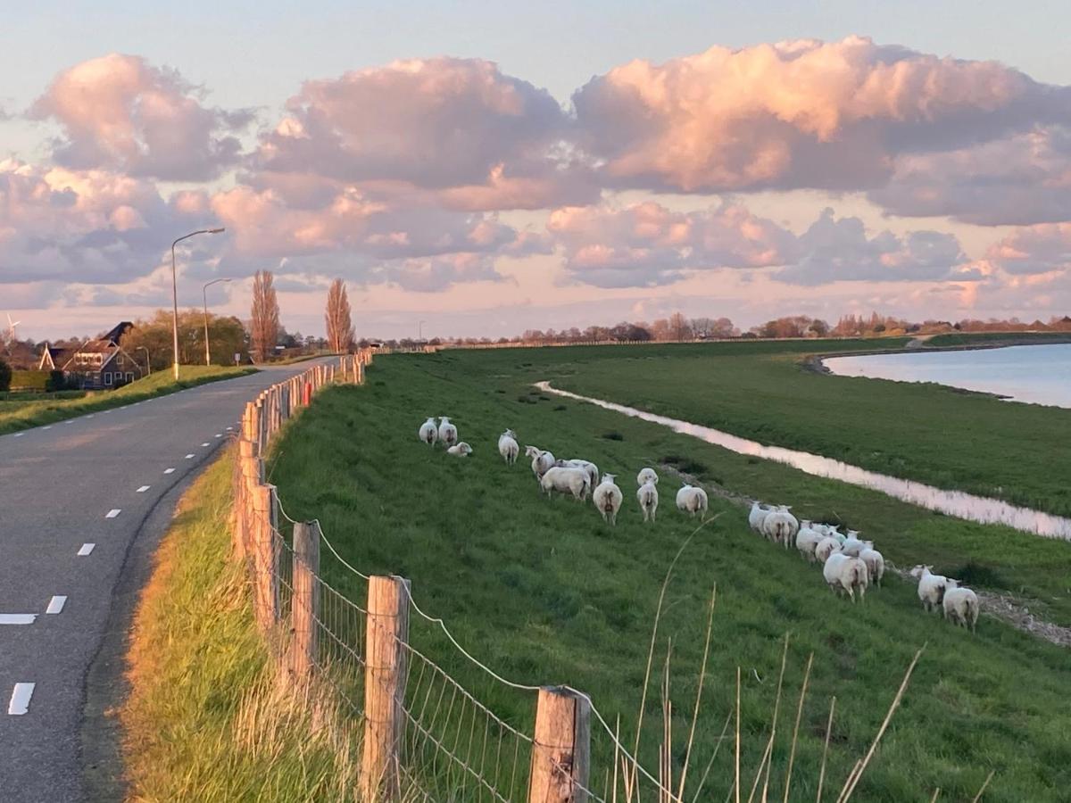 Vakantiehuis Het Uilennest Wijdenes エクステリア 写真