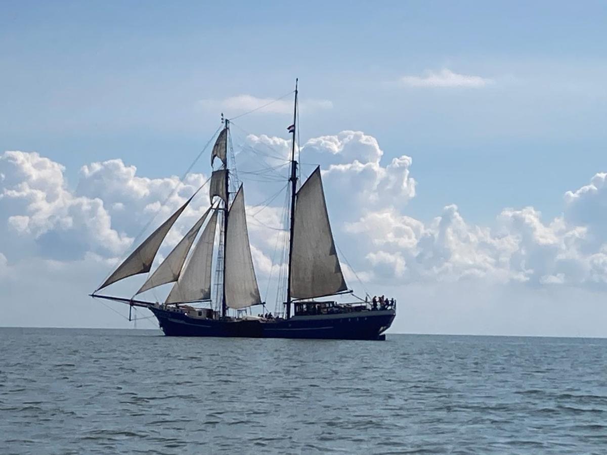 Vakantiehuis Het Uilennest Wijdenes エクステリア 写真