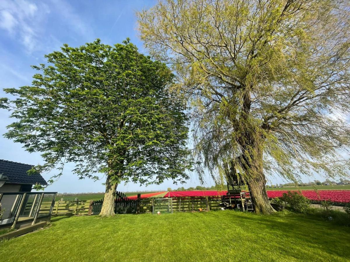 Vakantiehuis Het Uilennest Wijdenes エクステリア 写真