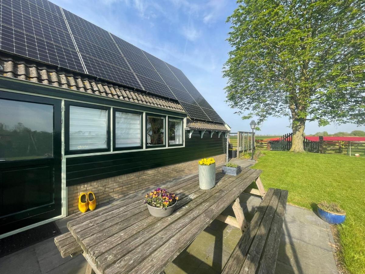 Vakantiehuis Het Uilennest Wijdenes エクステリア 写真