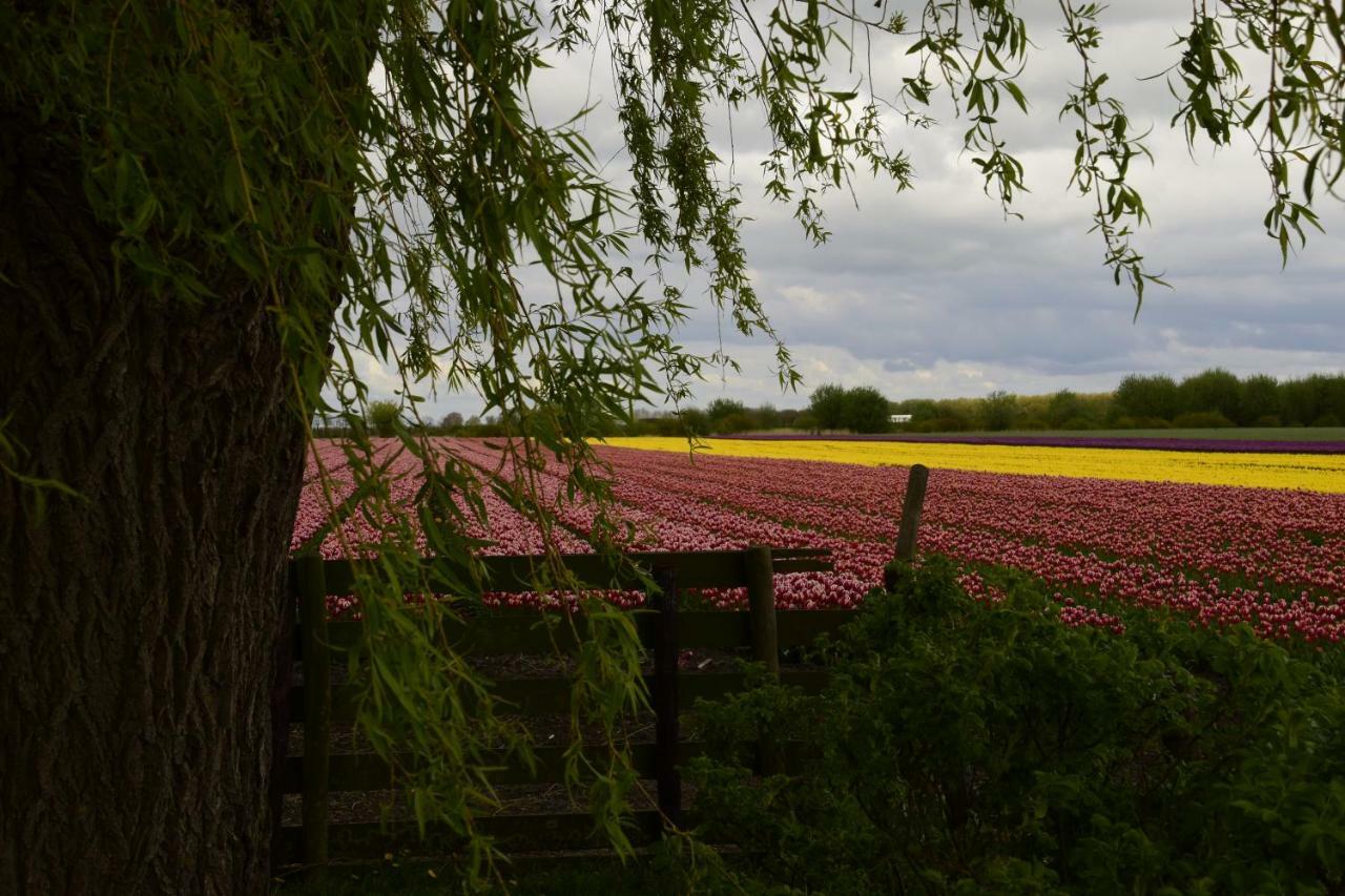 Vakantiehuis Het Uilennest Wijdenes エクステリア 写真