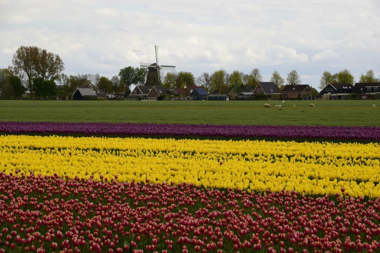 Vakantiehuis Het Uilennest Wijdenes エクステリア 写真