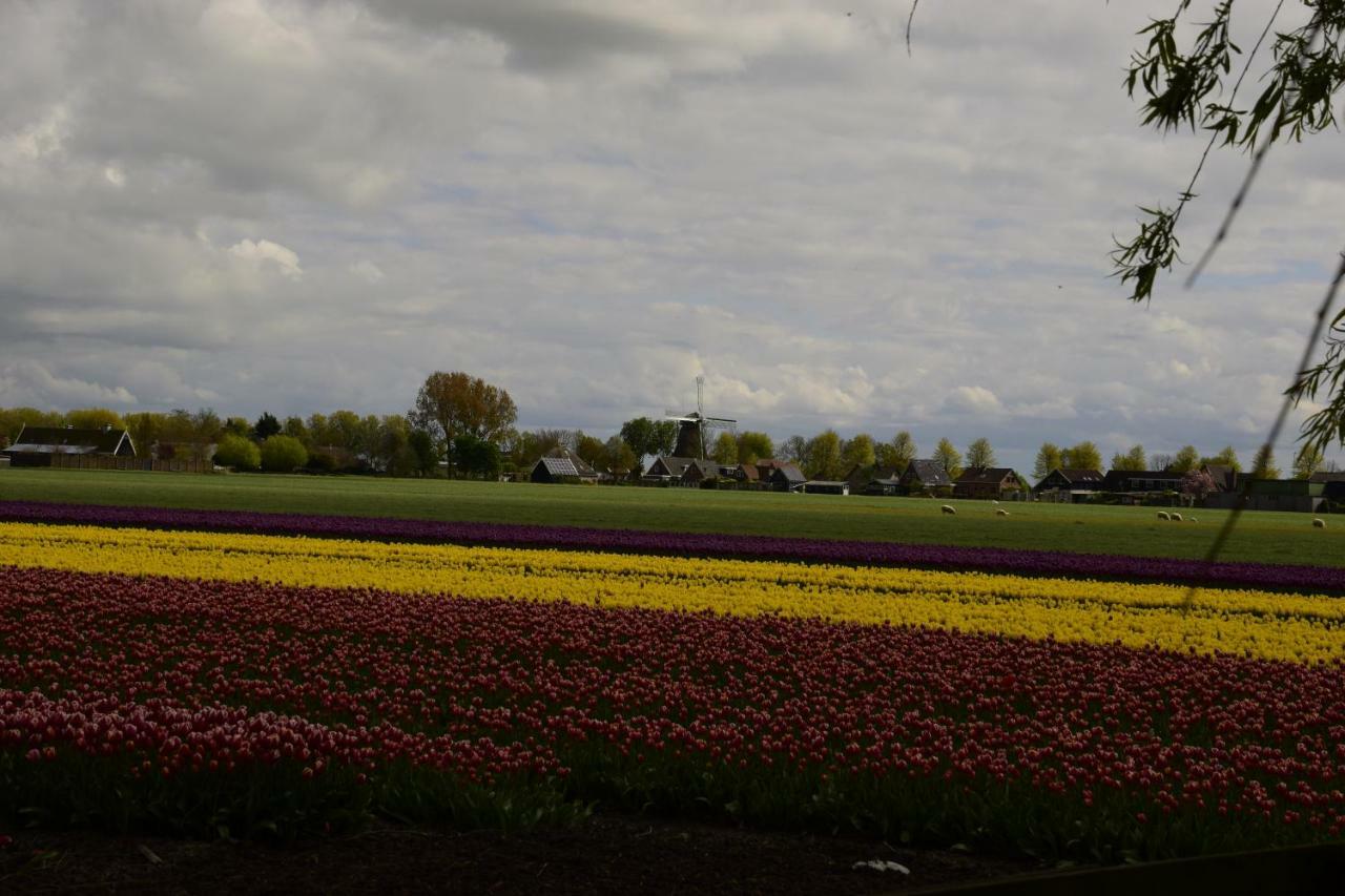 Vakantiehuis Het Uilennest Wijdenes エクステリア 写真